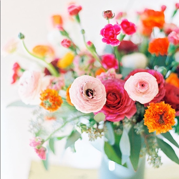 Meet your Posher, Jodie - Picture 1 of 1